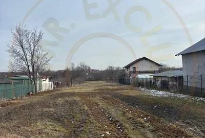 Teren de 2976 mp, în Smeura - 5