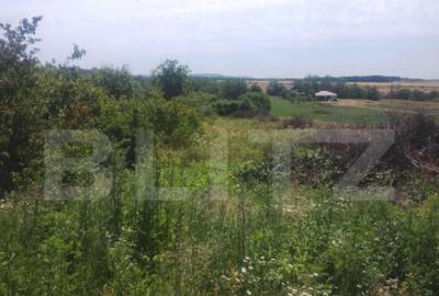 Teren intravilan Ardud Vii - 3