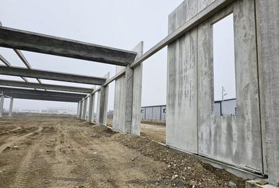 Vanzare hale/depozite/productie -industrial-Chitila - Rudeni, ILFOV - 23