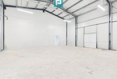 Spațiu comercial, de 550 mp, în Giarmata - 1