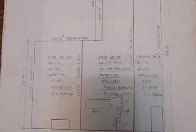 Casa de vinzare in Paulis Arad - 5