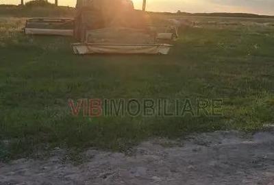 Ferma zootehnica func?ionala, populata cu peste 200 capete bovine, aproape de Sannicolau Mare - 15