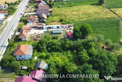 Casă cu 4 camere cu Teren 1730 Mp în Mihăești - 10