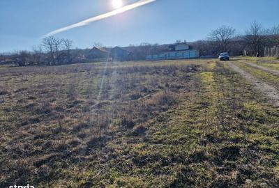 Teren de 1800 mp, în Sărata - 2