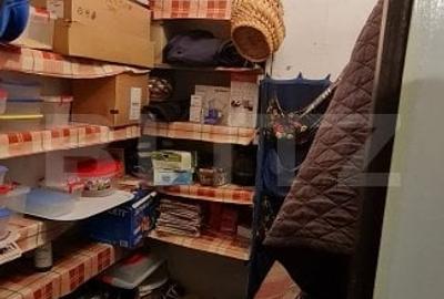 Oportunitate! Casa Bod pe un singur nivel, teren 980 mp pivnita, garaj ,mobilata - 13
