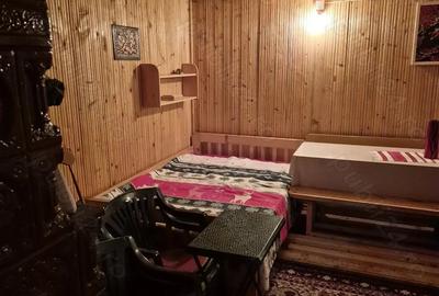 Cabana - Locuinta de vacanta langa Piatra Neamt - 7