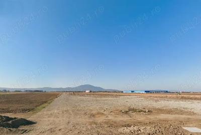 Teren de 5000 mp, în Cristian - 2