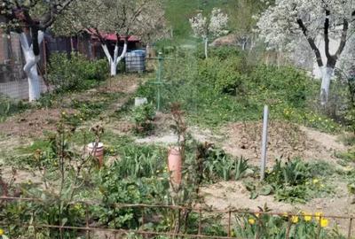 Casă cu 5 camere cu Teren 1337 Mp în Belin - 4