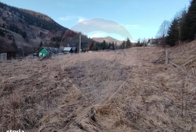 Casă cu 2 camere în Ortoaia - 14