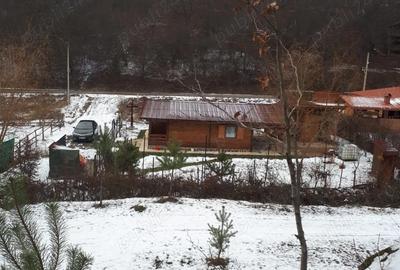 Casă cu Teren 350 Mp în Coaș - 1