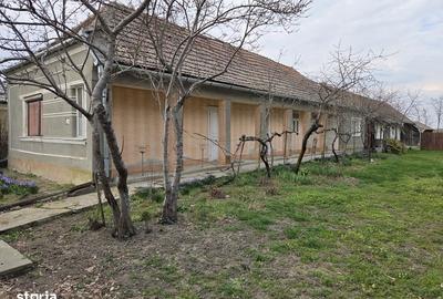 Casă cu 3 camere cu Teren 130 Mp în Cherechiu - 3