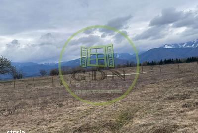 Spațiu comercial, în Central