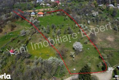 Casă cu 2 camere cu Teren 10156 Mp în Valea Iașului - 4