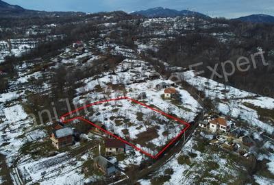 Teren de 3011 mp, în Bradu - 7
