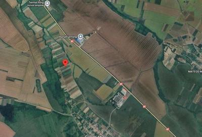 Teren de 4600 mp, în Central - 5
