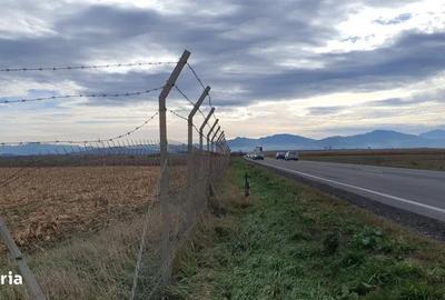 Teren de 14450 mp, în Ciupercenii Noi - 3