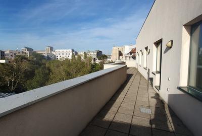 Birou, de 280 mp, în Calea Victoriei - 5