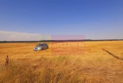 Teren de 2000 mp, în Brănești - 14