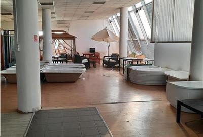 Spațiu comercial, de 450 mp, în Vest - 12