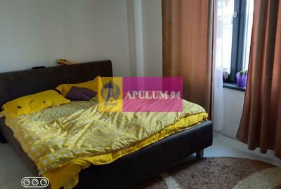 Vila P+1+pod- Fundeni- Dobroesti - 5