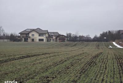 Teren de 800 mp, în Hărman - 3