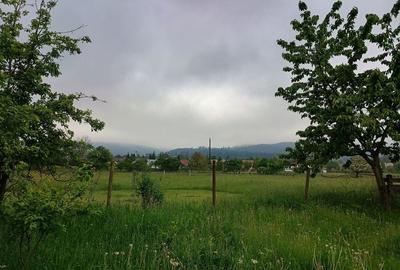 Spațiu comercial, în Central - 3