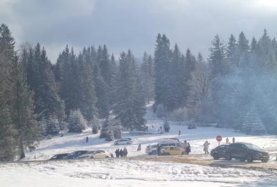1,93ha de vanzare Poiana Brasov, de la proprietar - 4