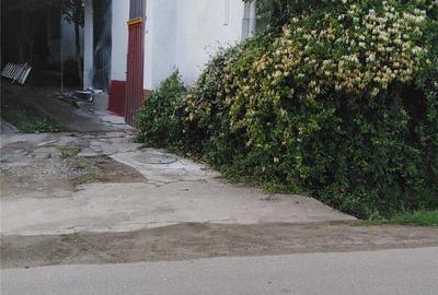 Casă cu 5 camere cu Teren 1200 Mp în Ludoș - 9