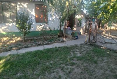 Vand casa in Giulvaz - 10