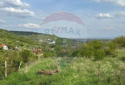 Teren Construcții intravilan de 1661 mp, în Podgoria - 3