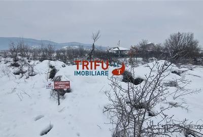 Spațiu comercial, în Central - 6