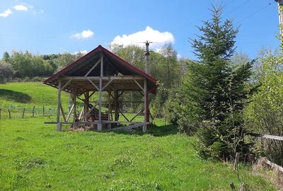 Teren intravilan de 13783 mp, în Avram Iancu - 3