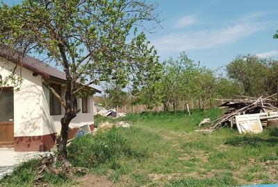 Giurgiu, Comana, Vlad Tepes - 5