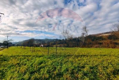 Teren Construcții intravilan de 2619 mp, în Bârsana - 7