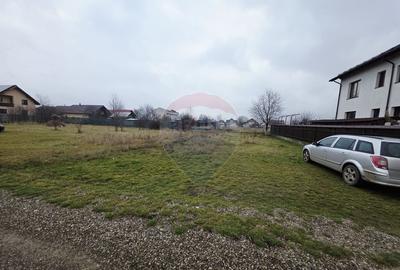 Teren 519mp Dumbrava Rosie / Strada CRANGULUI - 25
