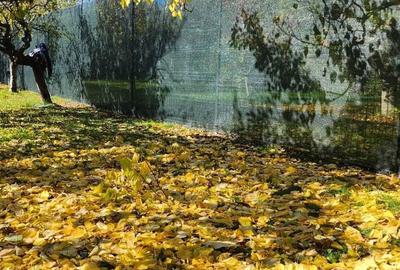 Spațiu comercial, în Săftica - 1