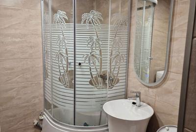 Apartament cu 2 camere decomandat în Berceni - 5