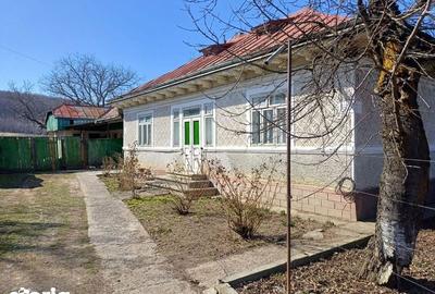 Casă cu 3 camere cu Teren 95 Mp în Bodești - 5