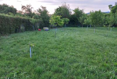 Spațiu comercial, în Batoți