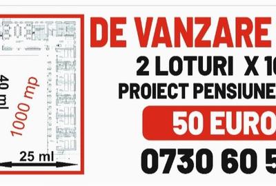 Teren Construcții intravilan de 2000 mp, în Dunavățu de Jos - 1