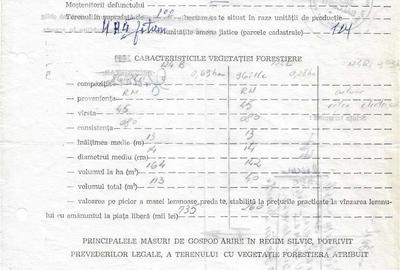 Teren de 10000 mp, în Otetelișu - 3