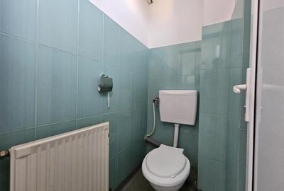 Mioritei, Spatiu comercial, 100mp - 10