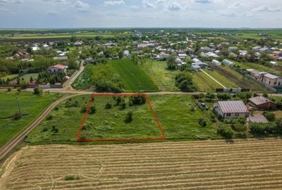 FRUMUSANI - POSTAVARI, TEREN 1500 MP, FRONT 30 M ! - 4