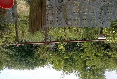 Vand casa in comuna Drago? Voda - 5