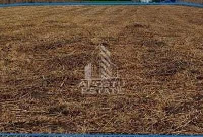 Teren Zadareni proiect spalatorie auto/spatii comerciale - 2