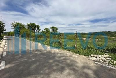 Teren de 5351 mp, în Roșiori - 1