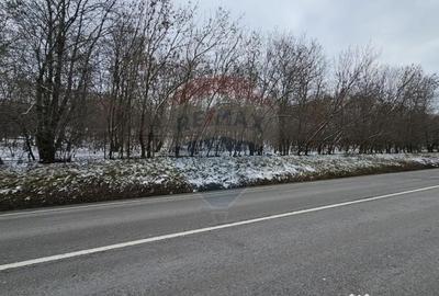 Teren de 10000 mp, în Rădășeni - 16