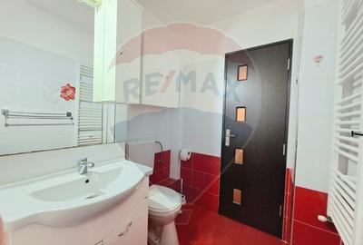 Apartament cu 2 camere decomandat, mobilat în Podgoria - 8