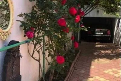 Vila | Piata Muncii | Birouri | Metrou 2 min | Garaj propriu - 7