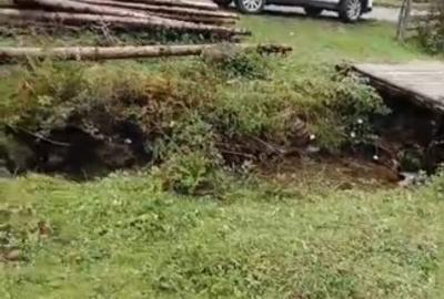 Teren Construcții intravilan de 6000 mp, în Ortoaia - 12